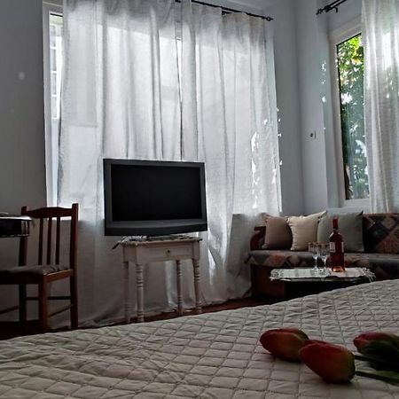 Dream Catcher Studio Skopelos Exteriér fotografie