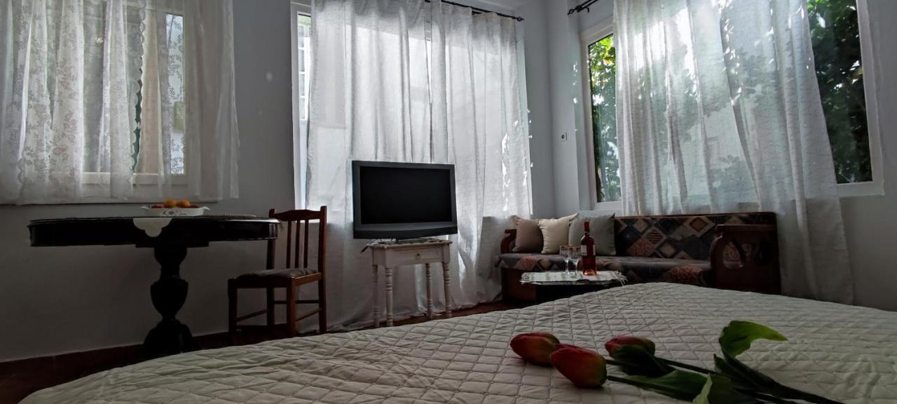 Dream Catcher Studio Skopelos Exteriér fotografie